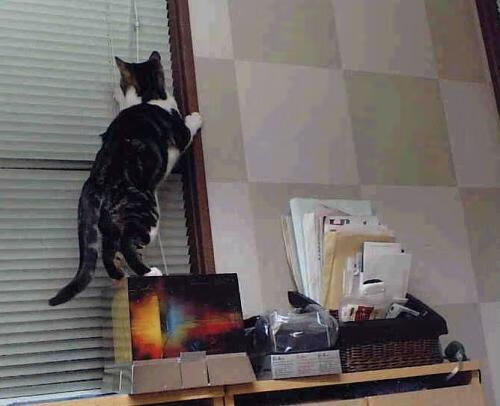 西甲国家德比之夜，当终局审判者特奥成为那枚击碎平衡的子弹