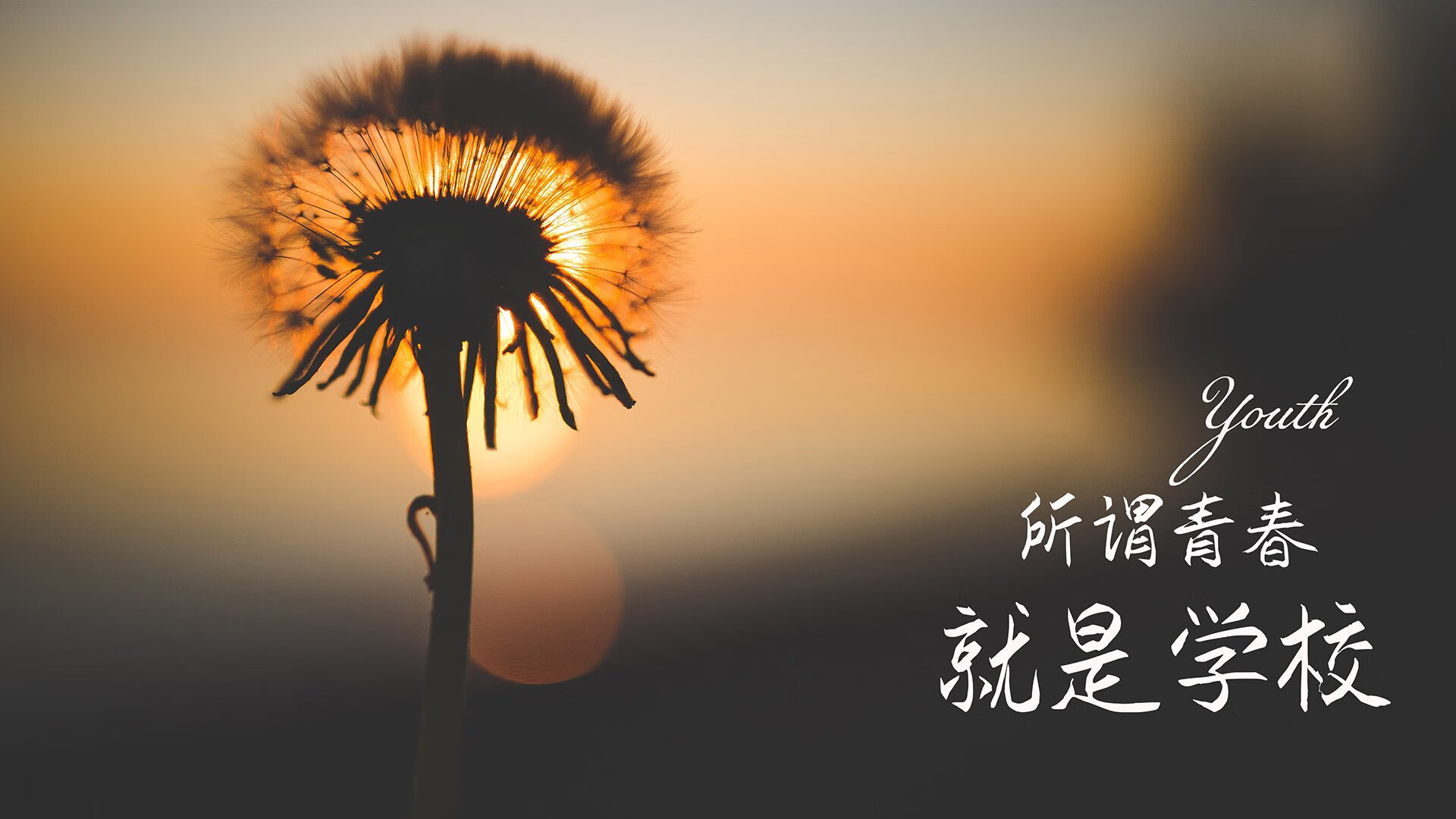维也纳之夜,北极冰刃与山城铁壁的绝境回响,莫德里奇执掌命运航向