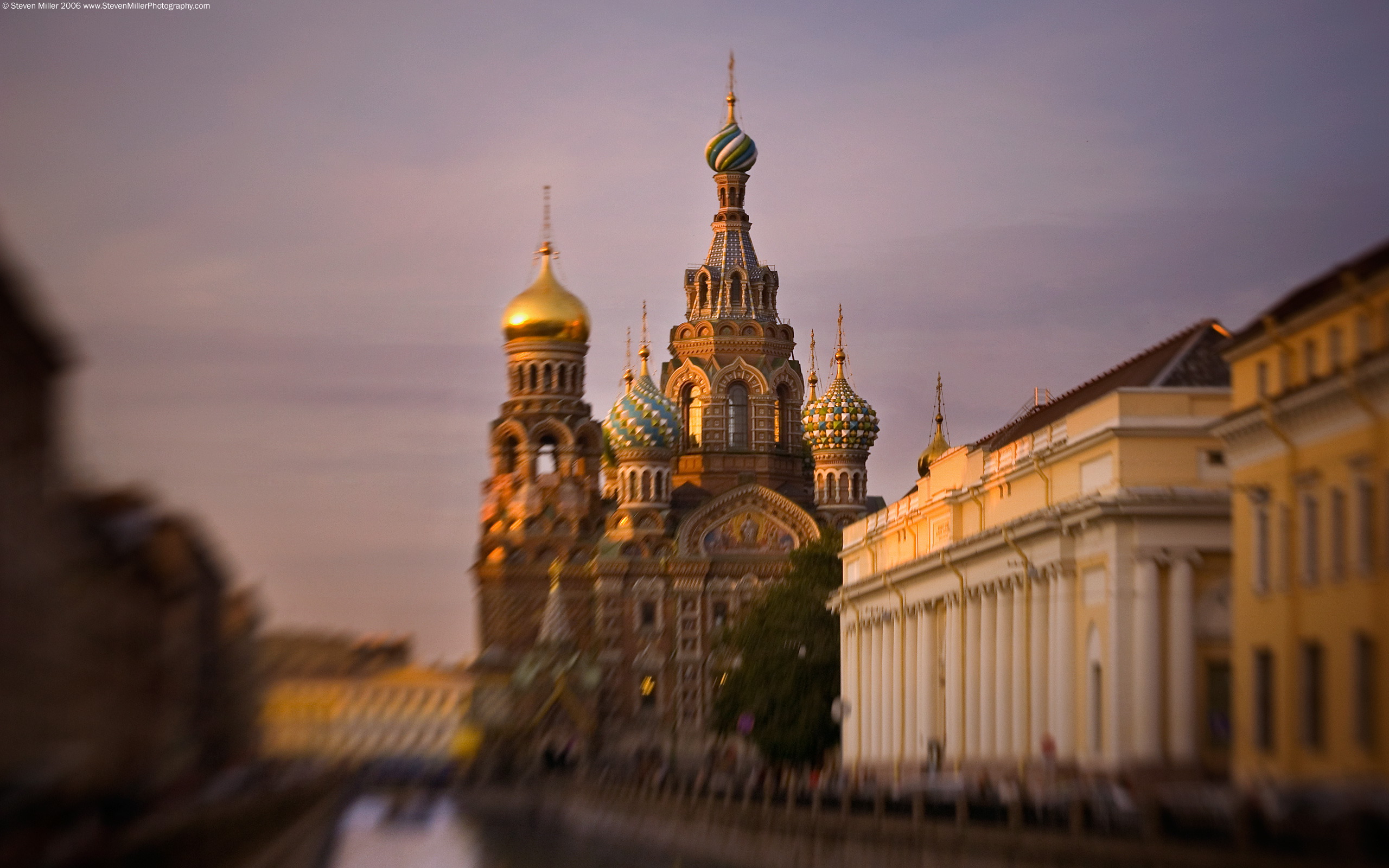 临场妙手换乾坤,奥斯梅恩一剑封喉,厄瓜多尔逆转突尼斯书写G组唯一剧本