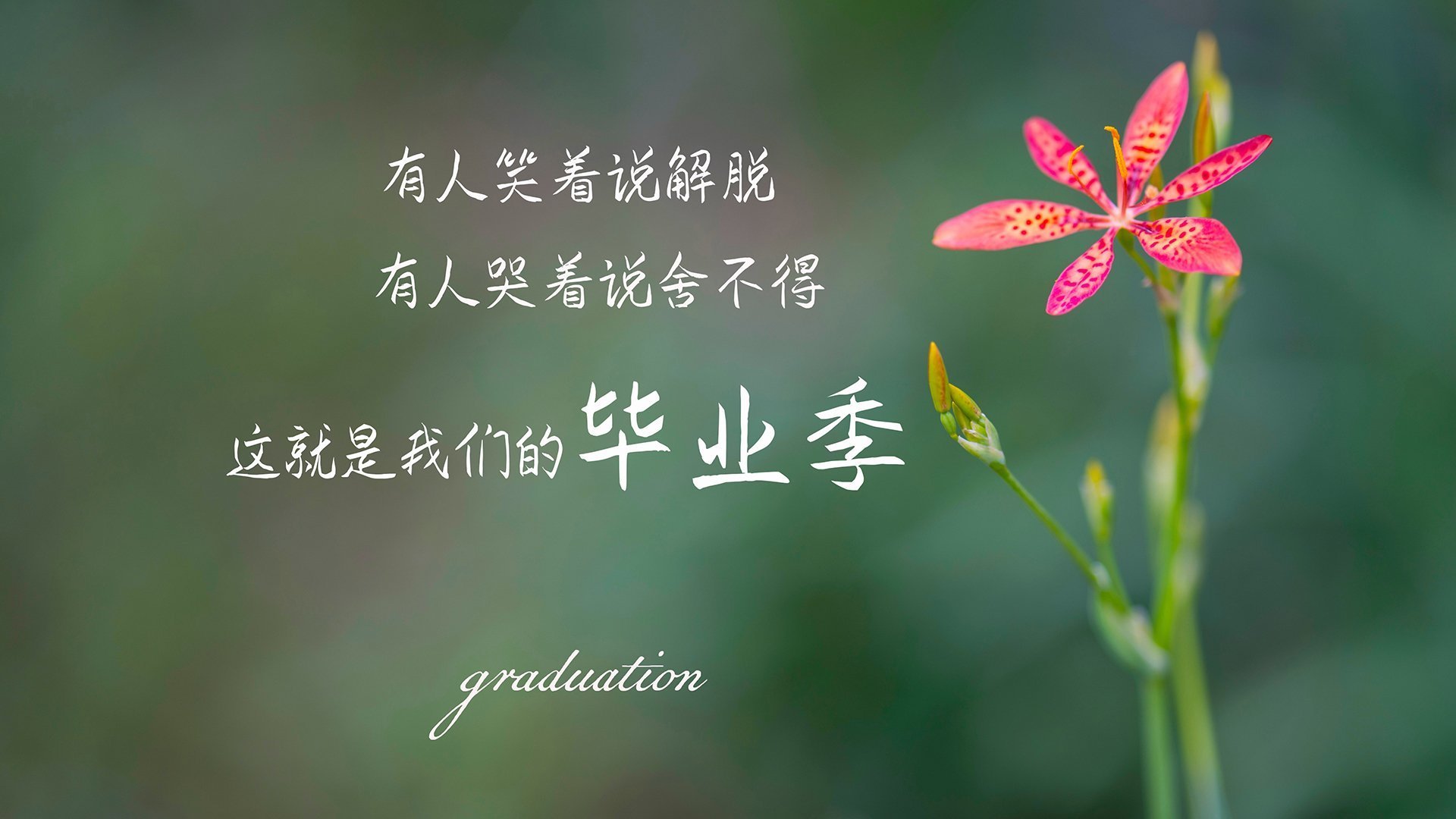 困兽之斗与魔术师,当非洲雄鹰的利爪撕碎桑巴舞步,德布劳内用最比利时的方式破咒重生